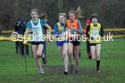 Girls under-15 Northern Cross Country Champs., Witton Park, Blackburn. Photo: David T. Hewitson/Sports for All Pics
